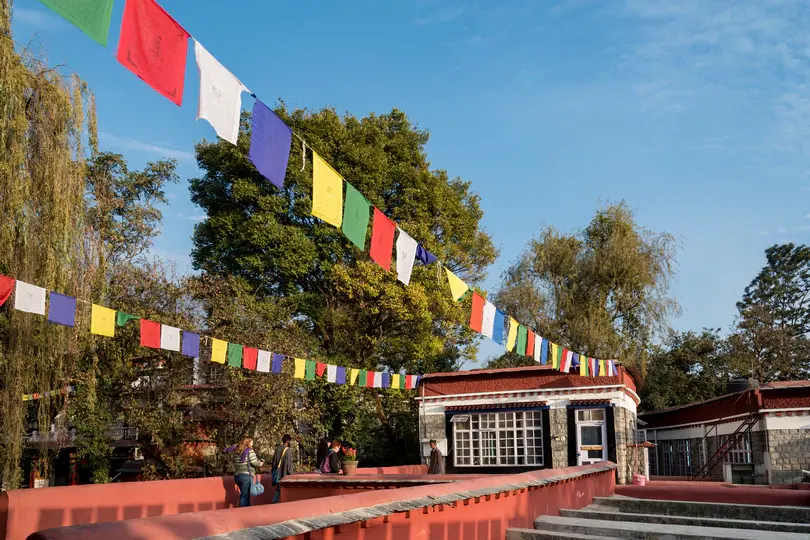 Palampur Relaxation Tour